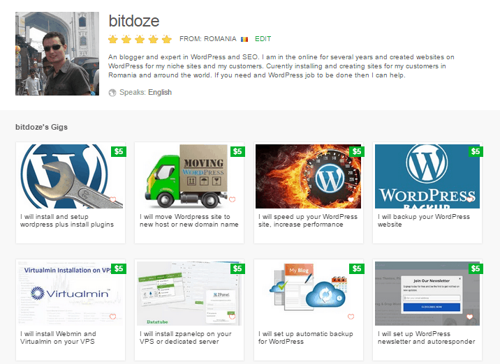 Fiverr WordPress Gigs by WP DOZE - WP Doze